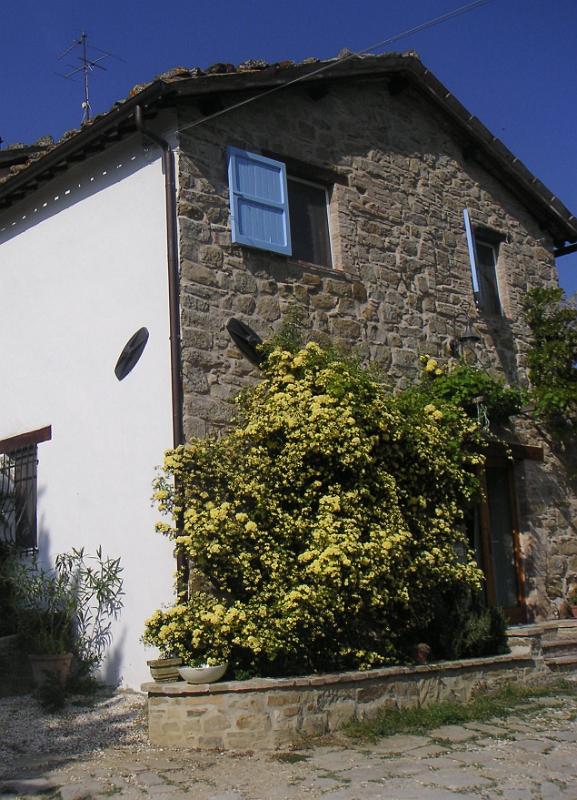 The Cottage - The Cottage